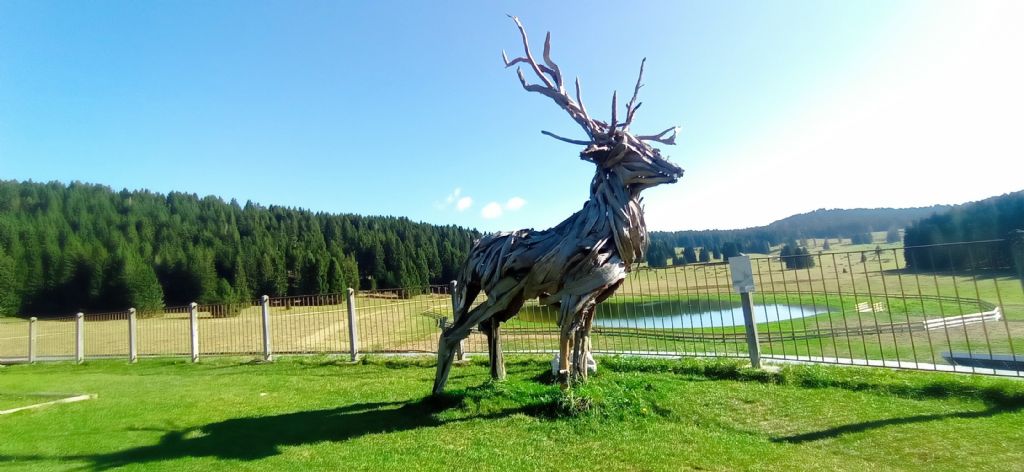 Tutte le sculture di Marco Martalar.....in Trentino
